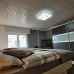 Im Vulkanland Bis 6 Personen Appartement Ettringen (Rhineland-Palatinate)